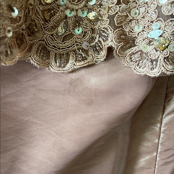 Elegant Pink Lace Evening Gown Ivonne d  by mon Cheri - Picture 9 of 11